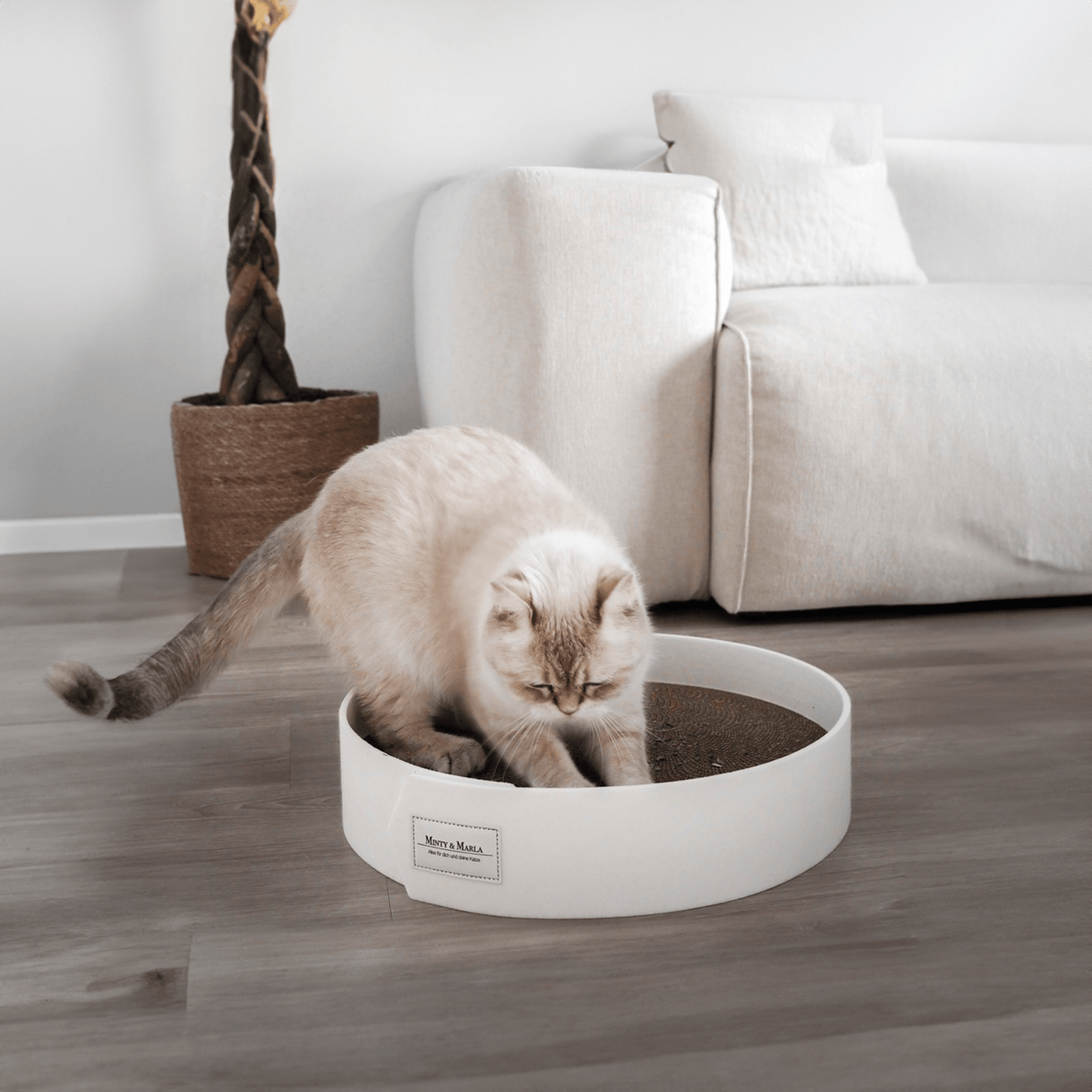 Kratzbrett für Katzen in einem schönen Zuhause