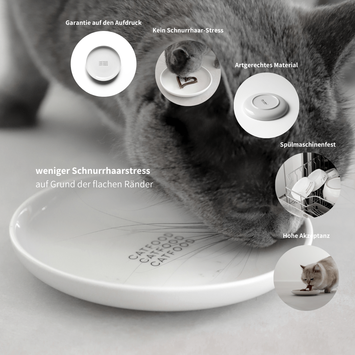 Napfteller flacher Napf aus Keramik für Katzen
