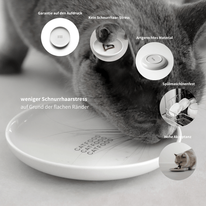 Napfteller flacher Napf aus Keramik für Katzen