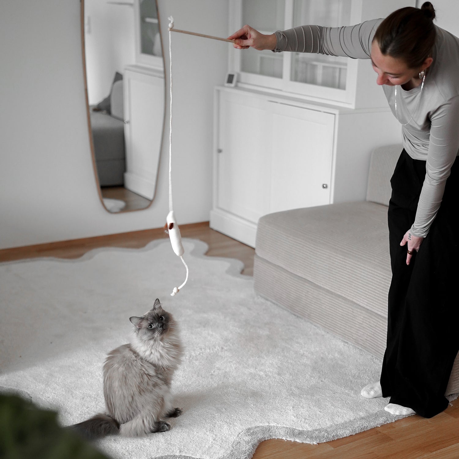 Katze spielt mit Spielangel Katzenspielzeug mit Katzenminze