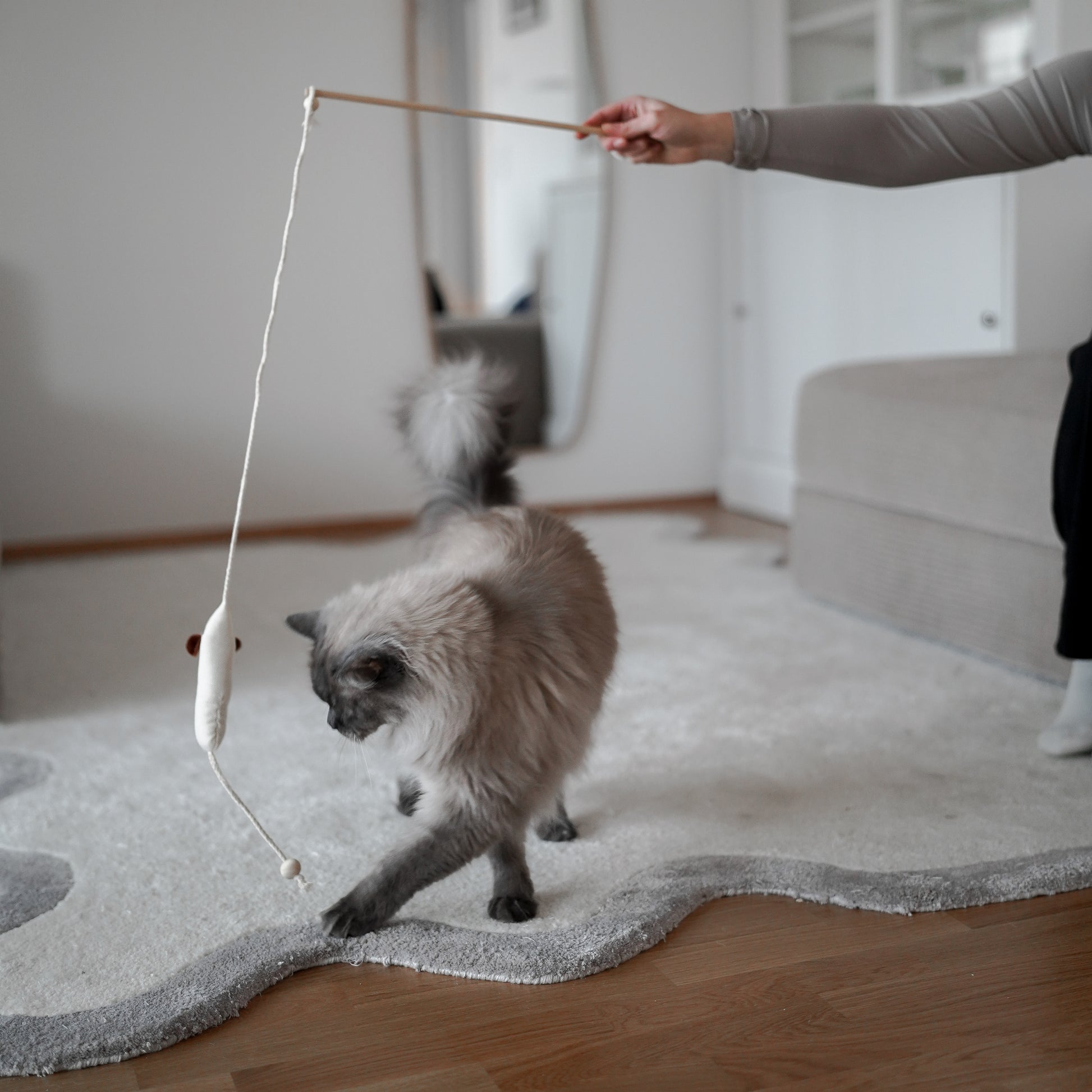 Spielangel Katze mit Katzenminze Katzenspielzeug