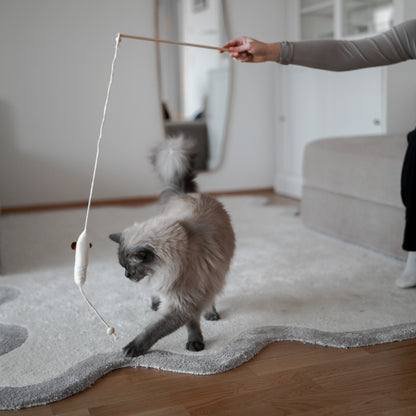 Spielangel Katze mit Katzenminze Katzenspielzeug