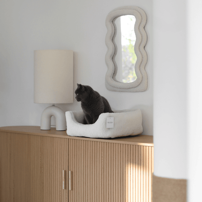 Graue Katze sitzt in weißem Katzenbett aus Teddystoff vor moderner Holzeinrichtung