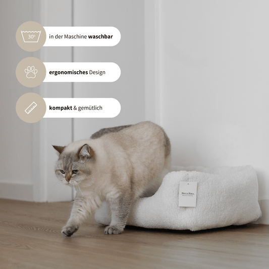 Katze steht im Körbchen Teddy aus kuscheligen Stoff mit Infos zum ergonomisches Design und der Pflegetipps