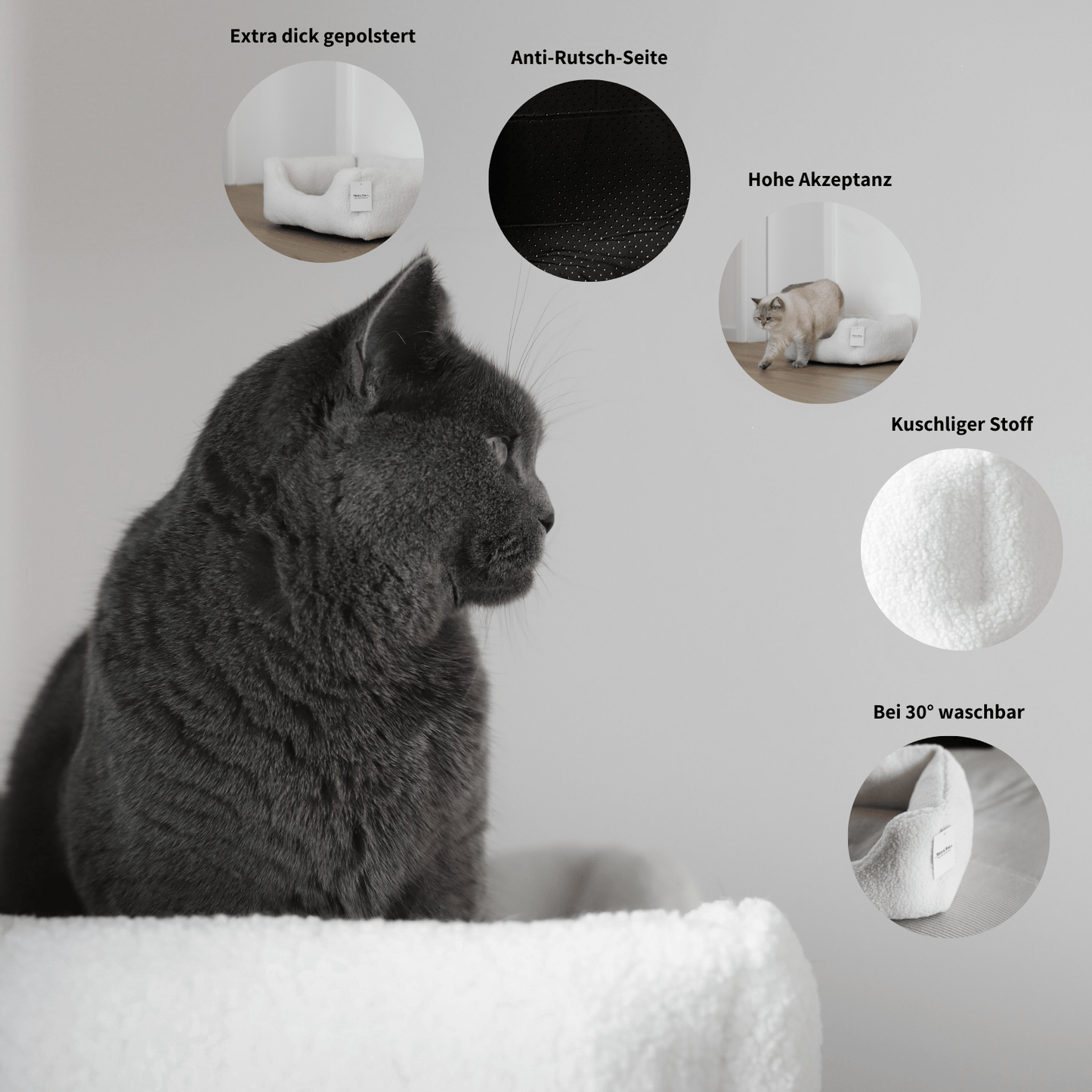 Infos zum Körbchen für Katzen über Stoff, Pflege, Akzeptanz und Polsterung 