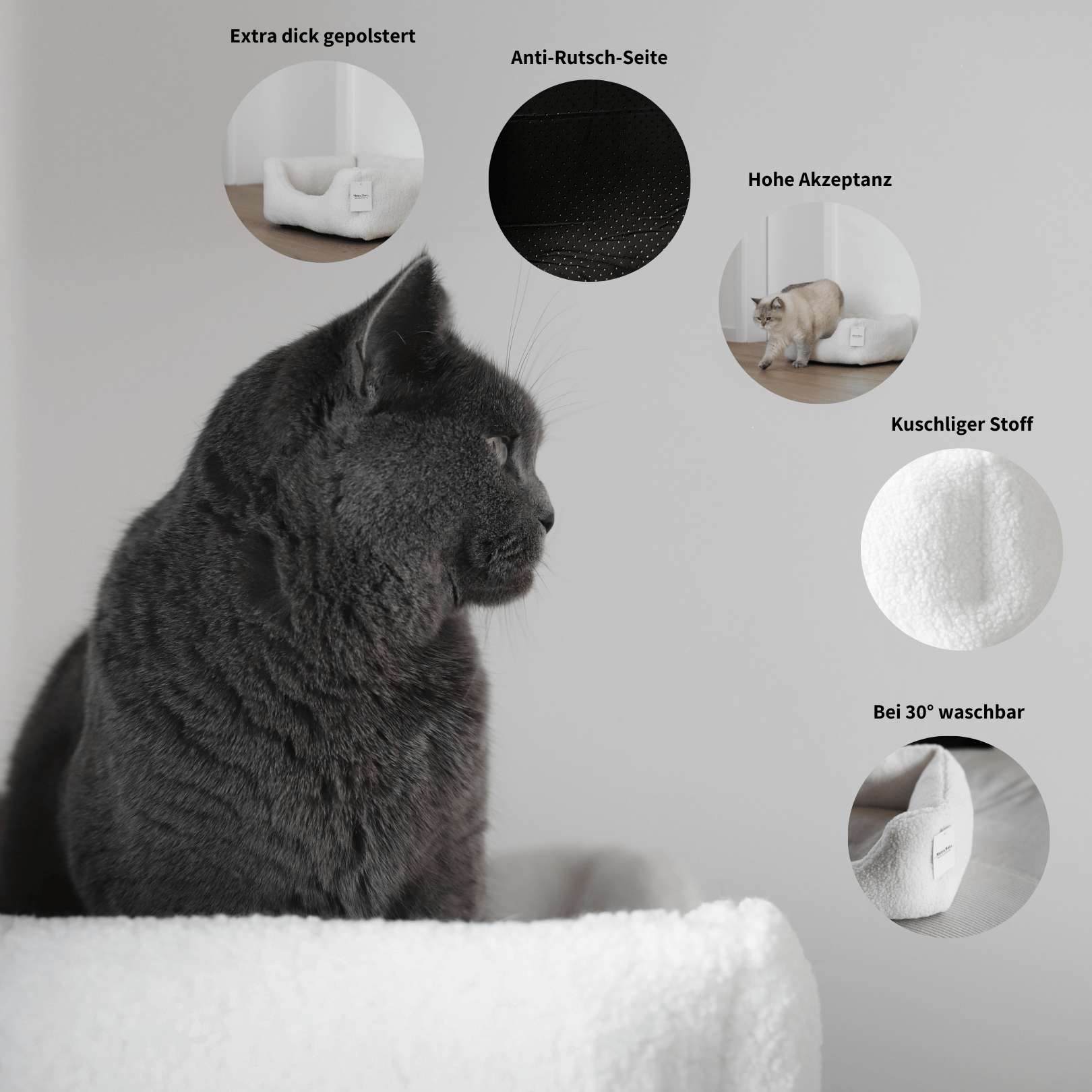 Infos zum Körbchen für Katzen über Stoff, Pflege, Akzeptanz und Polsterung 