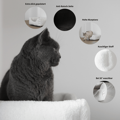 Infos zum Körbchen für Katzen über Stoff, Pflege, Akzeptanz und Polsterung 