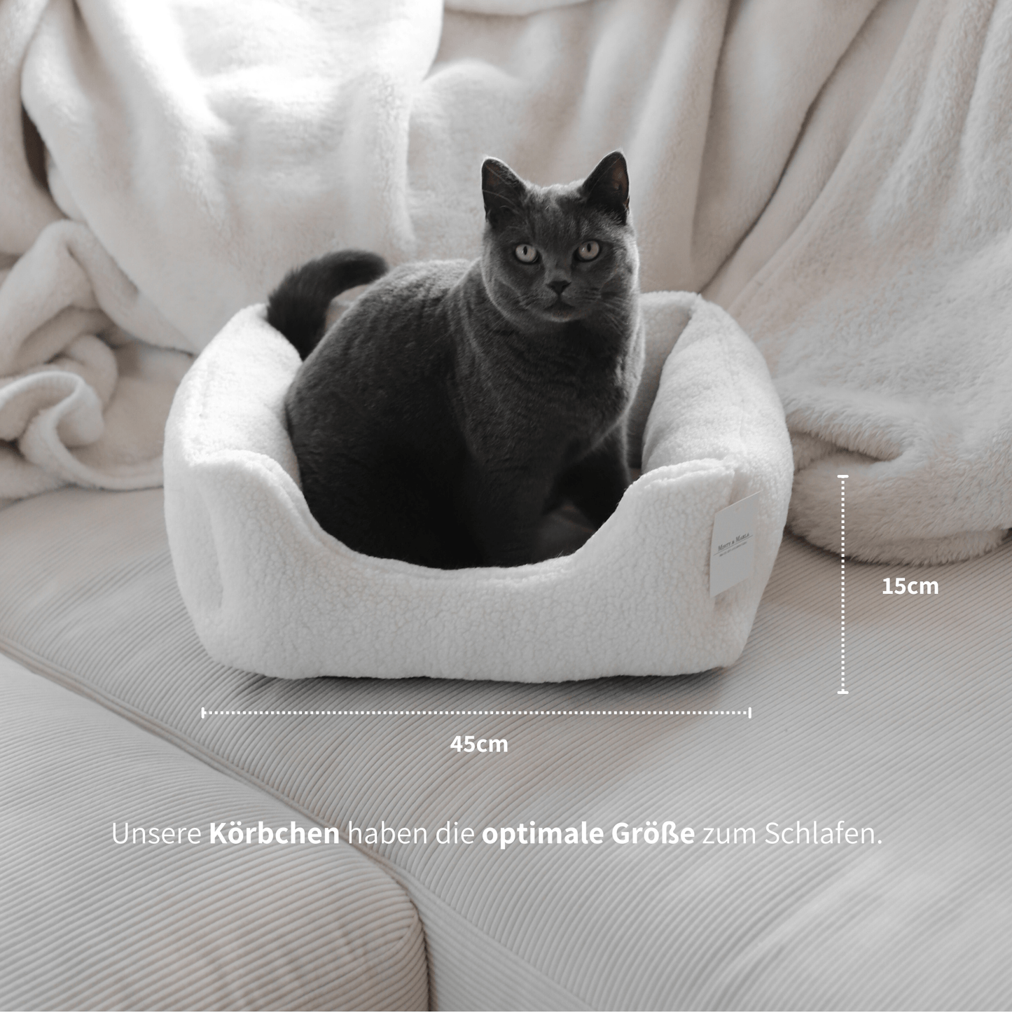 Katzenbett mit grauer Katze steht auf einem Sofa mit den Maßangaben zur optimalen Größe des Schlafplatzes