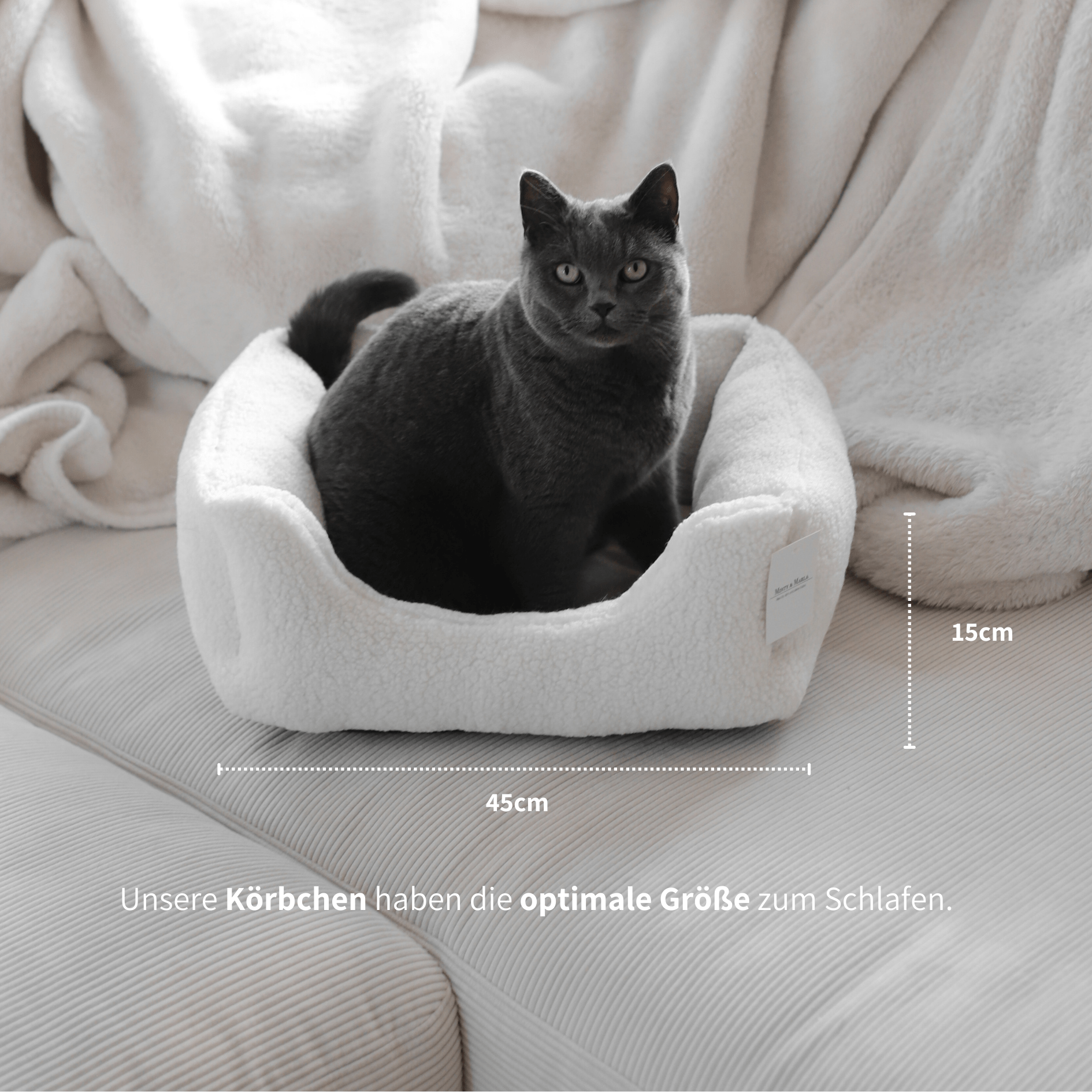Katzenbett mit grauer Katze steht auf einem Sofa mit den Maßangaben zur optimalen Größe des Schlafplatzes