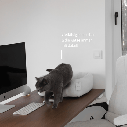 Vielfältig einsetzbares Körbchen auf einem Schreibtisch während eine graue Katze gerade am aufstehen ist