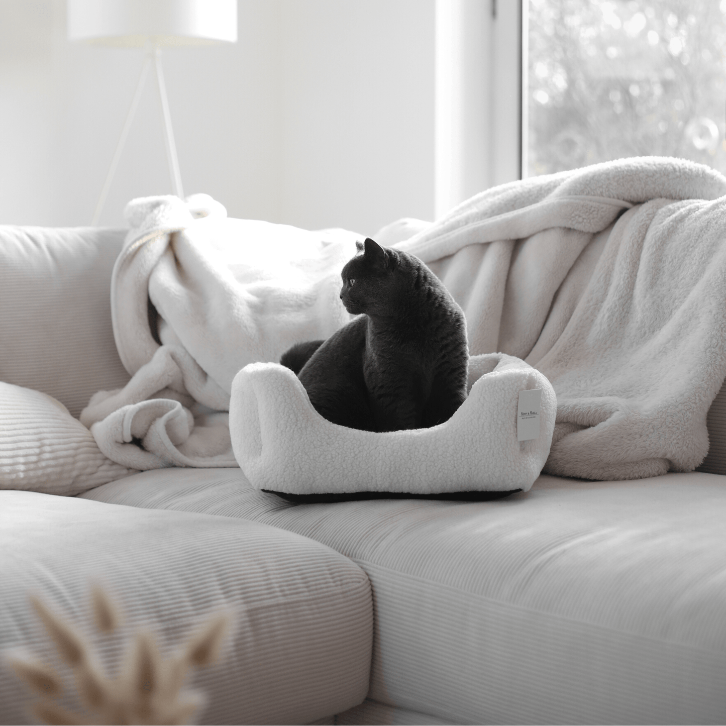 Schlichtes weißes Körbchen mit grauer Katze darin steht auf einer Couch in einem modernen Zuhause