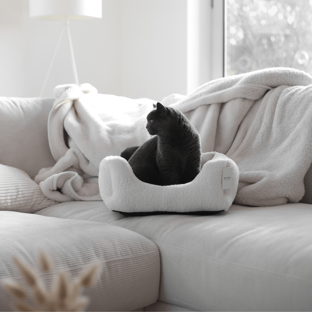 Schlichtes weißes Körbchen mit grauer Katze darin steht auf einer Couch in einem modernen Zuhause