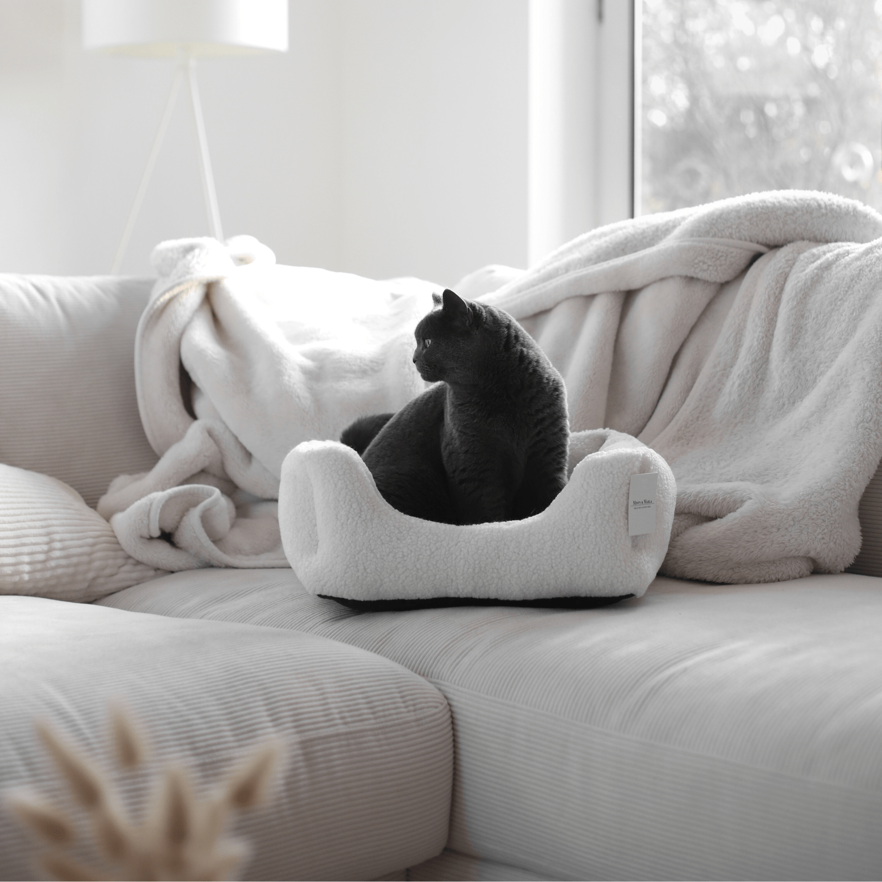 Schlichtes weißes Körbchen mit grauer Katze darin steht auf einer Couch in einem modernen Zuhause