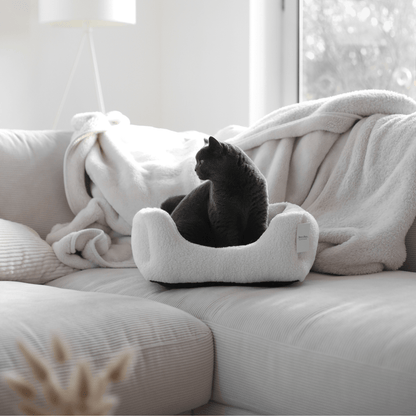 Schlichtes weißes Körbchen mit grauer Katze darin steht auf einer Couch in einem modernen Zuhause