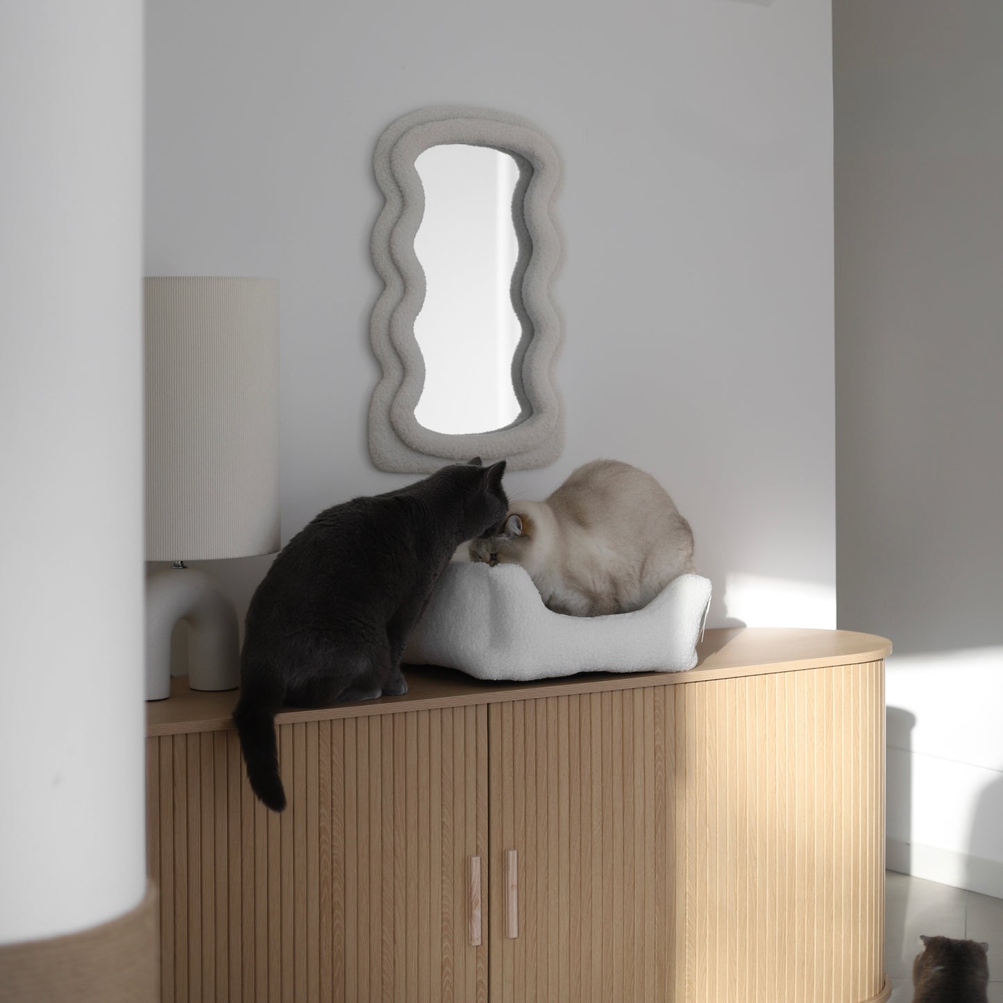 Zwei Katzen sind in oder neben dem weißen Körbchen aus kuscheligem Stoff auf einem Holzregal