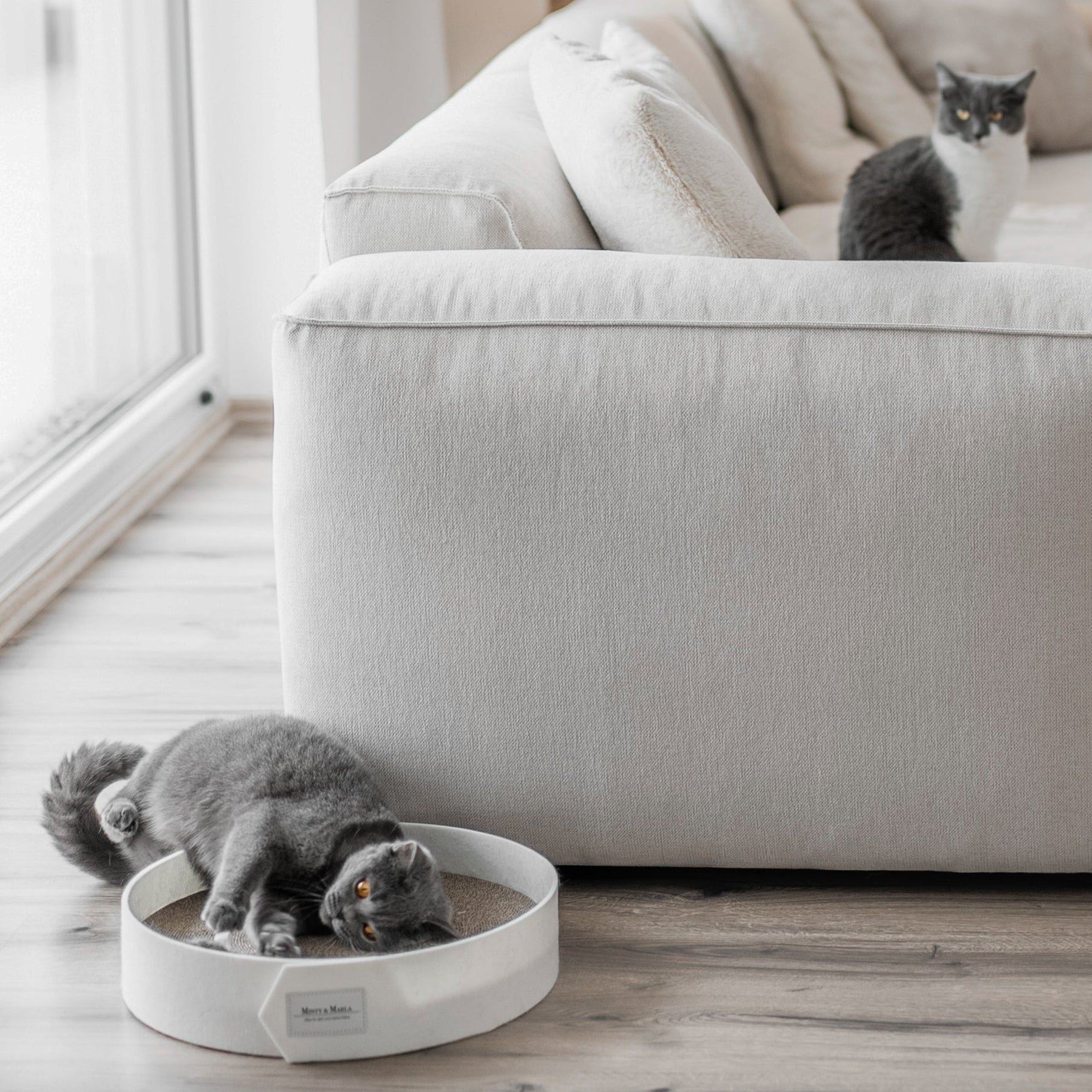 Kratzbrett für ein modernes und schönes Zuhause mit Katzen