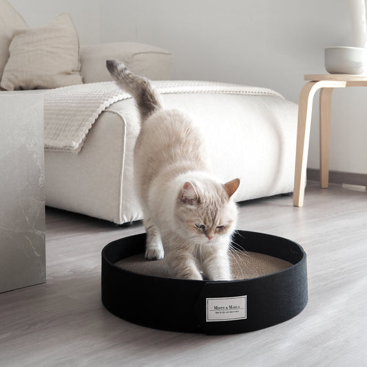 Kratzbrett für Katzen für ein schöne Zuhause mit Katze.