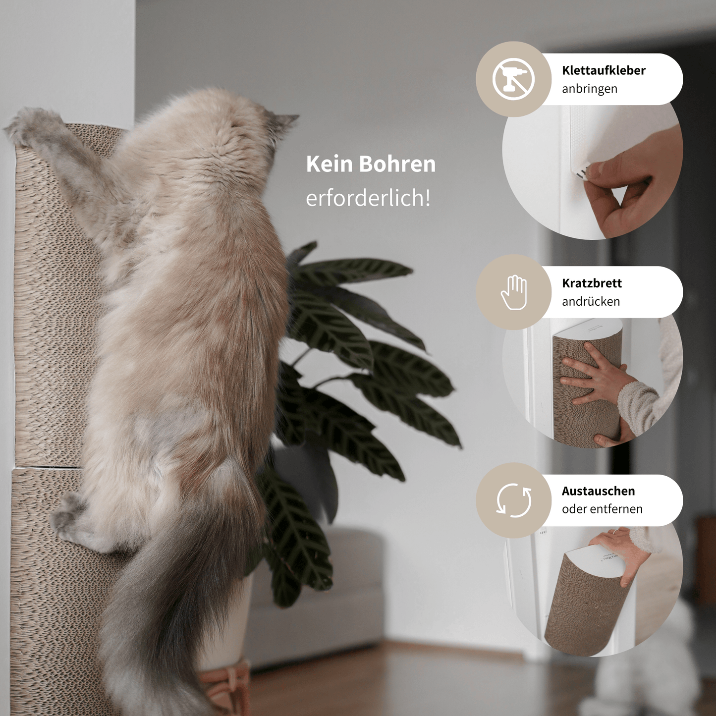 Katzen Kratzstange Kletterstange Kratzbrett mit Katzenminze