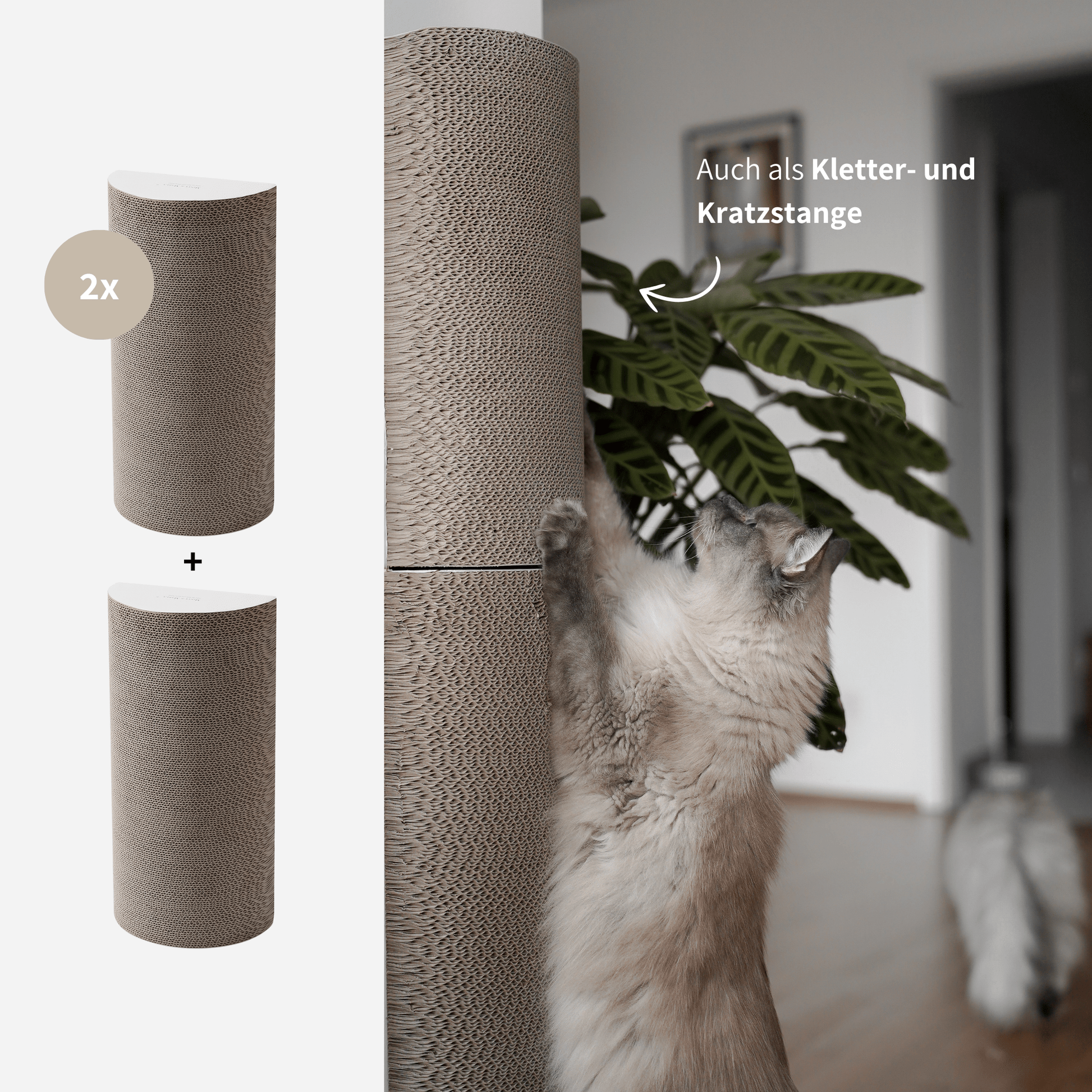 Kletterstange Kratzstange für Katzen Kratzbrett aus Kratzpappe