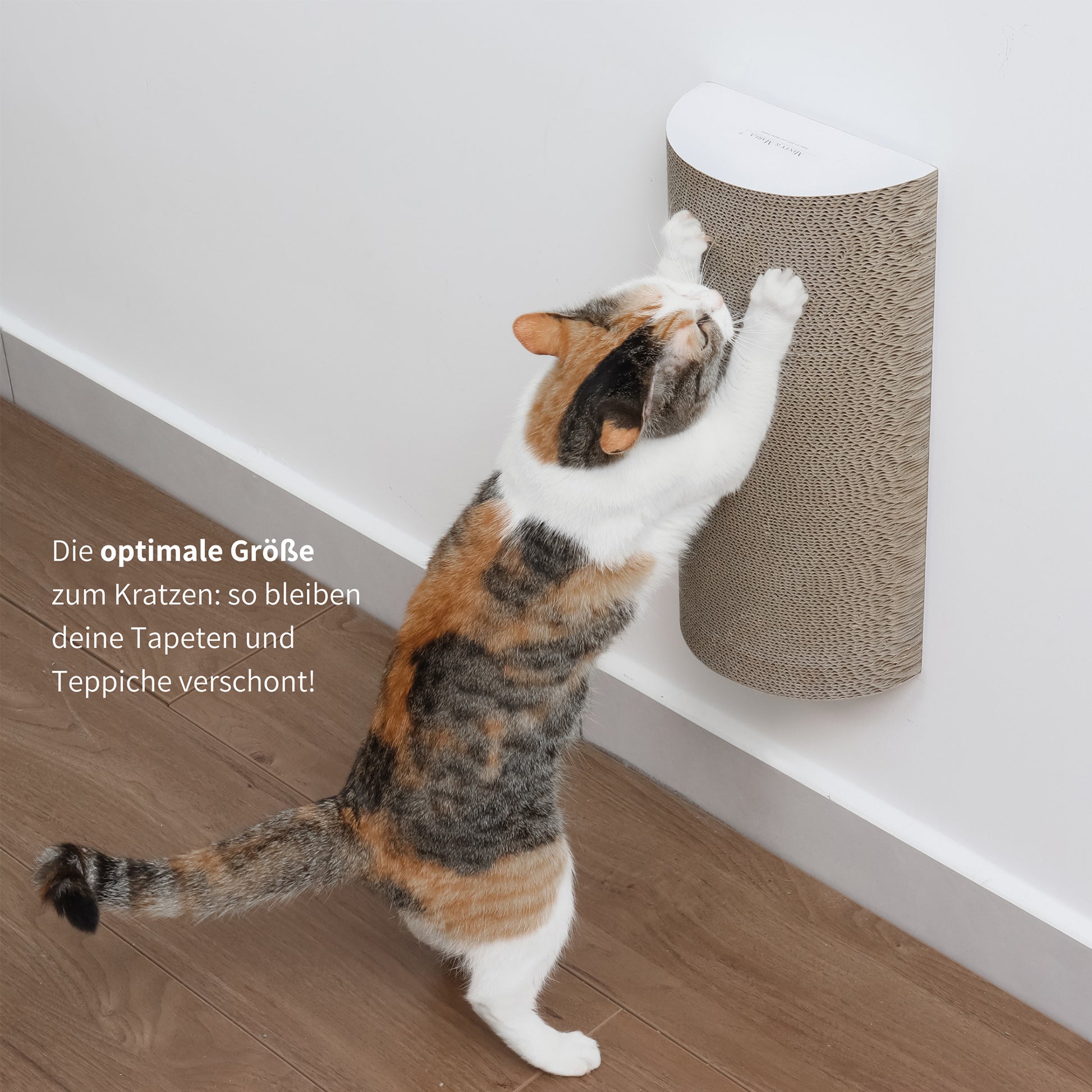 Katze kratzt Kratzbrett Kratzpappe an Wand befestigt ohne bohren