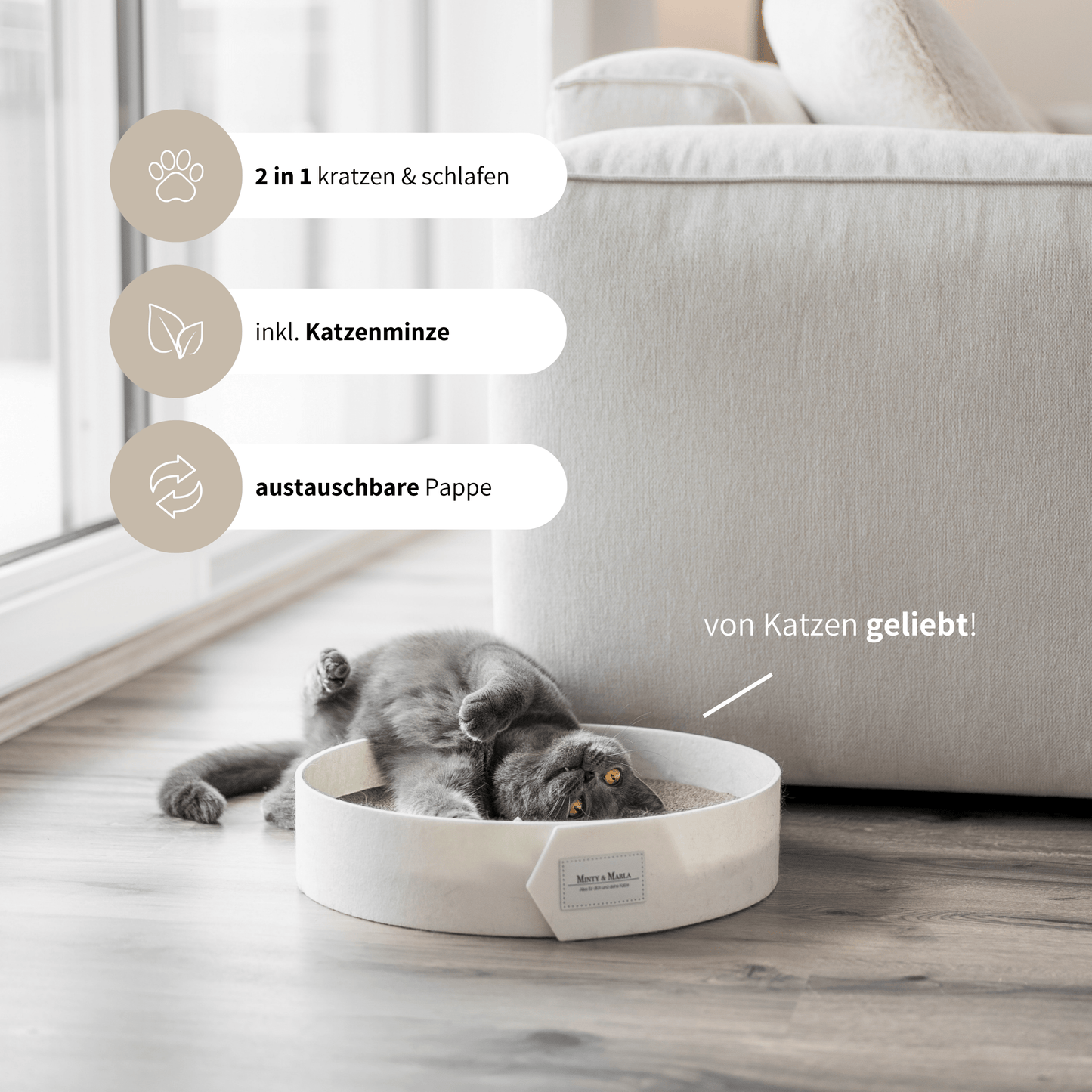 Stylisches Kratzbrett für Katzen inklusive Katzenminze