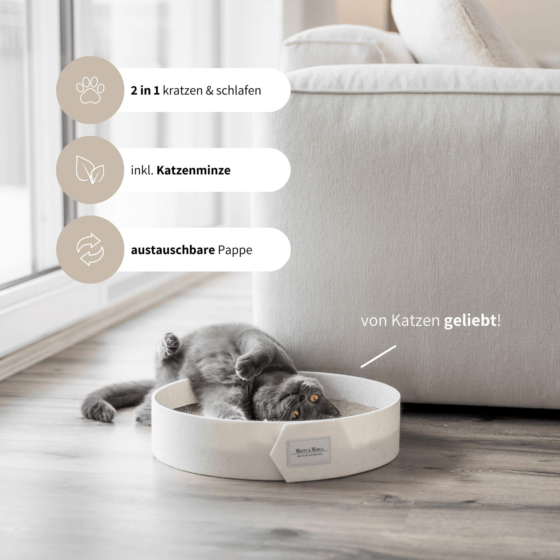 Stylisches Kratzbrett für Katzen inklusive Katzenminze