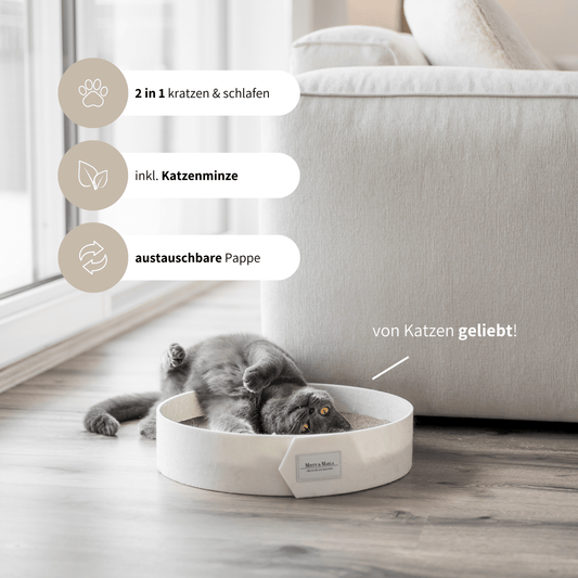 Stylisches Kratzbrett für Katzen inklusive Katzenminze