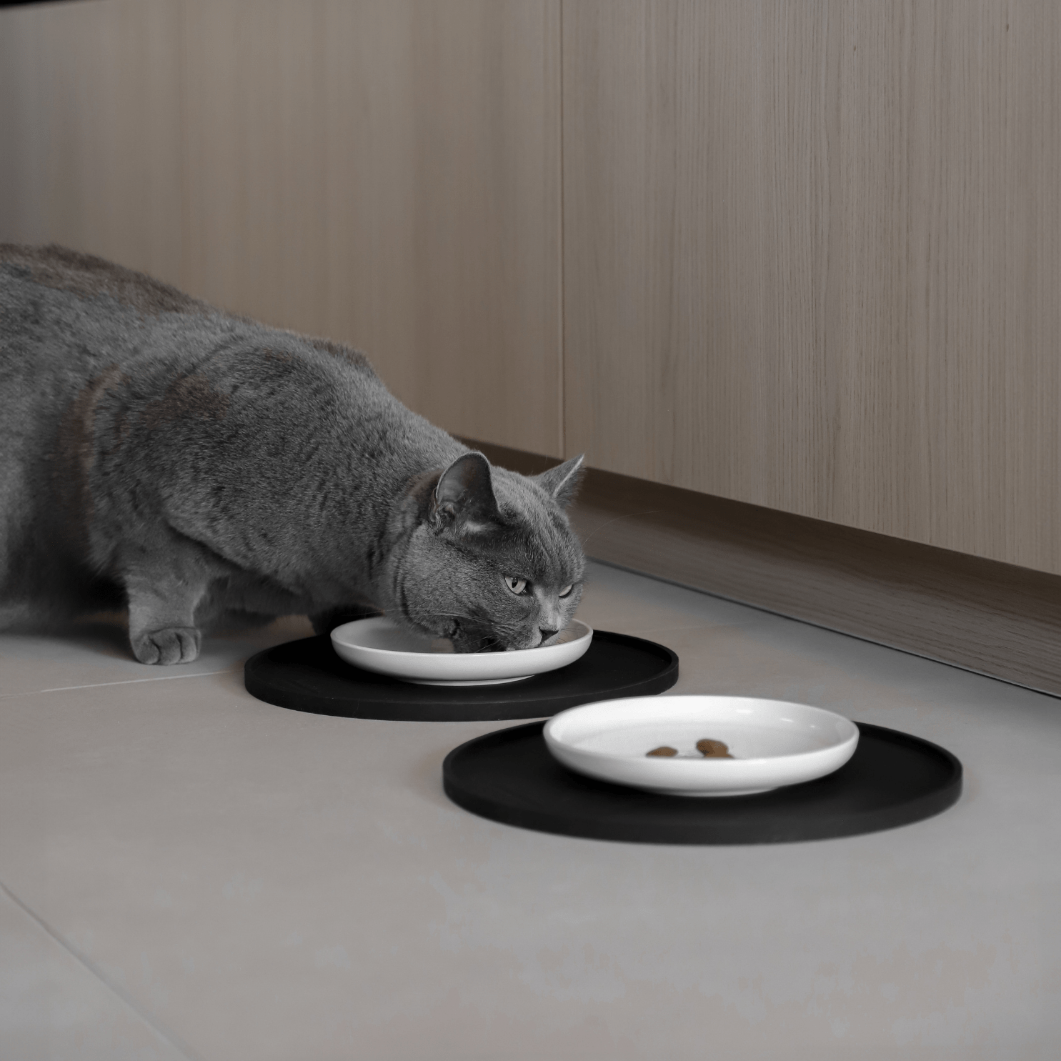 Stylisches Futterzubehör für Katzen flache Näpfe aus Keramik Napfunterlage