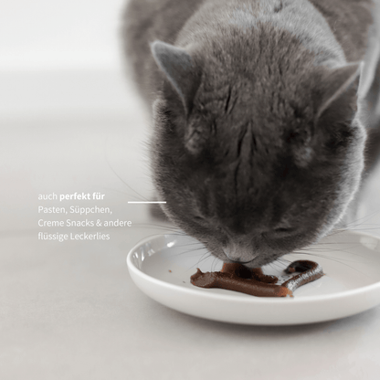 Napfteller flacher Napf aus Keramik für Katzenfutter Katzen