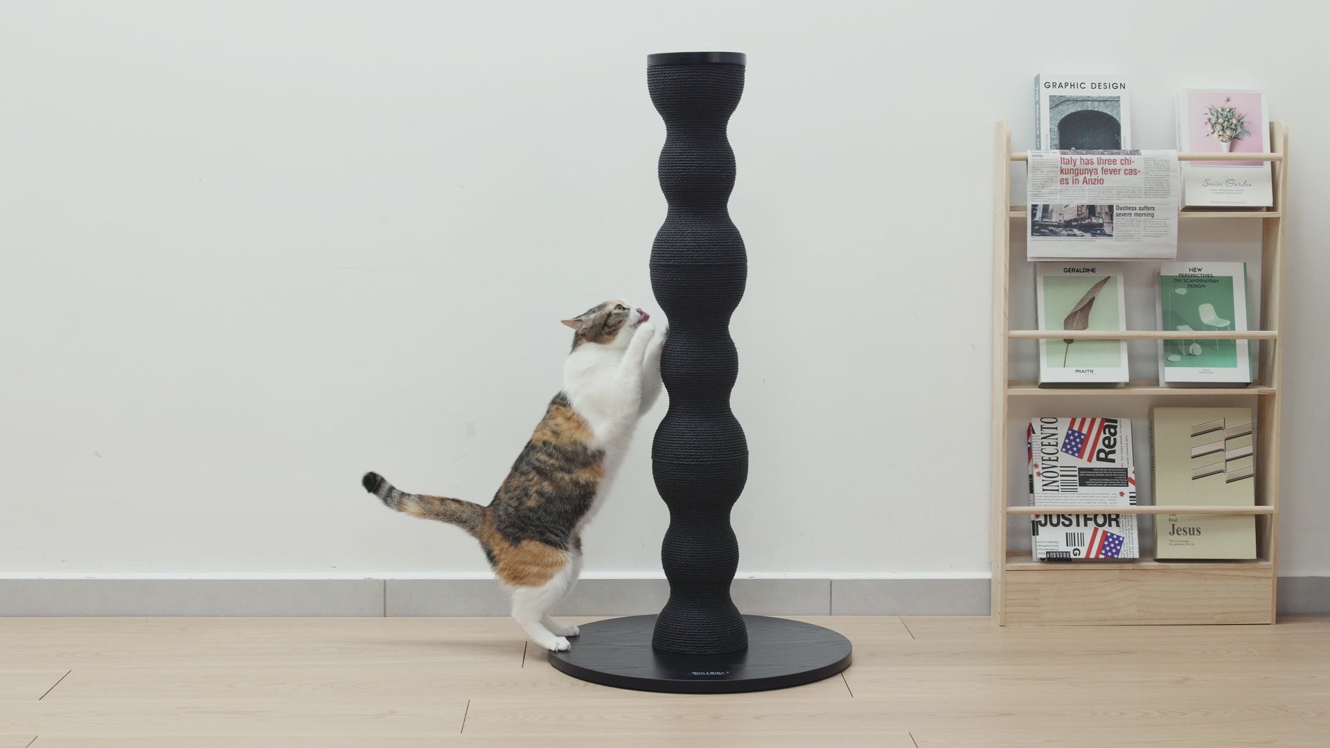 Video laden: Katzen Spielen mit der neuen Kratzsäule CURVY von Minty &amp; Marla, sie Kratzen und fühlen sich Wohl.