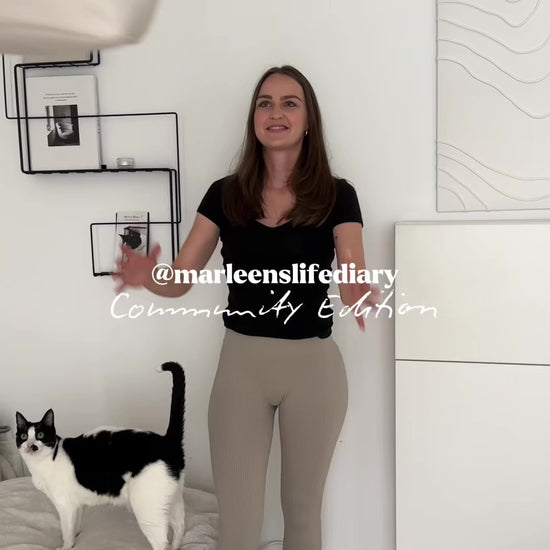 Katzen spielen mit XXL Katzenangel 