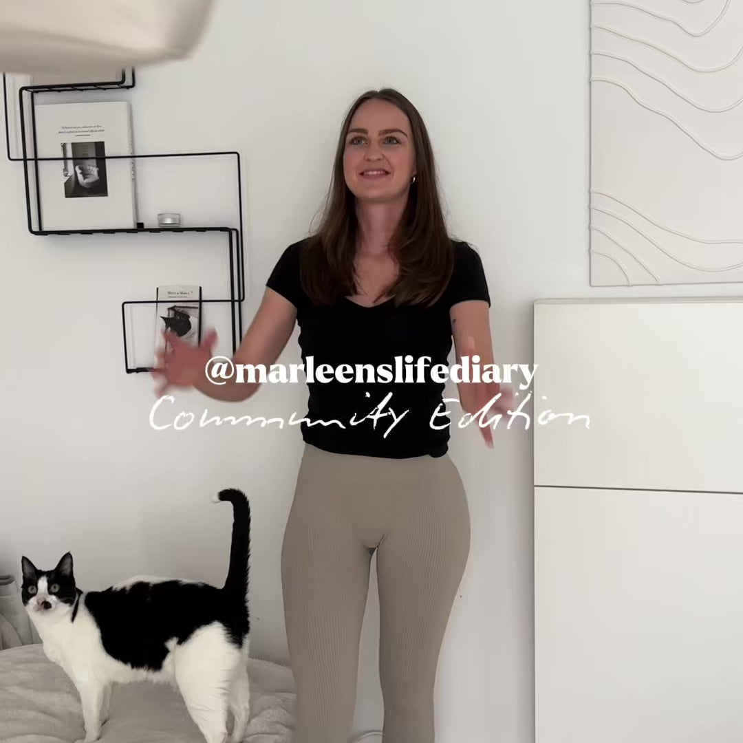 Katzen spielen mit XXL Katzenangel 