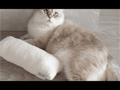 Video von einer Katze die mit einem XXL Spielkissen ein tolles Spielerlebnis hat
