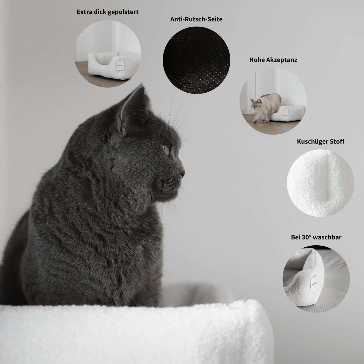 Infos zum Schlafplatz für Katzen wie extra dicker Polsterung, Anti-Rutsch Seite, hoher Akzeptanz, kuscheligem Stoff und der Pflege.