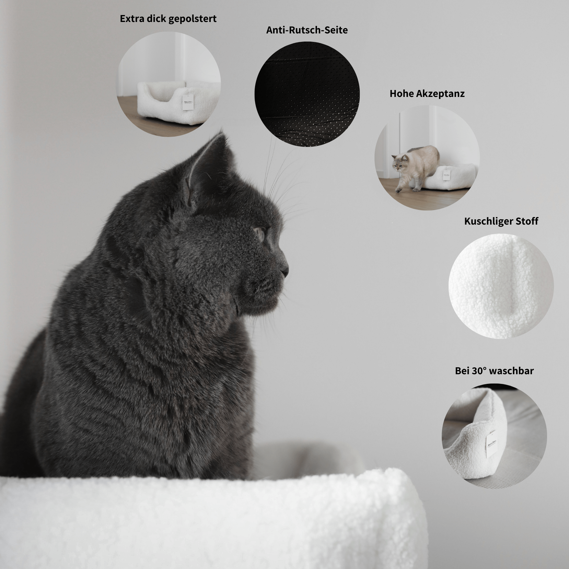 Infos zum Schlafplatz für Katzen wie extra dicker Polsterung, Anti-Rutsch Seite, hoher Akzeptanz, kuscheligem Stoff und der Pflege.