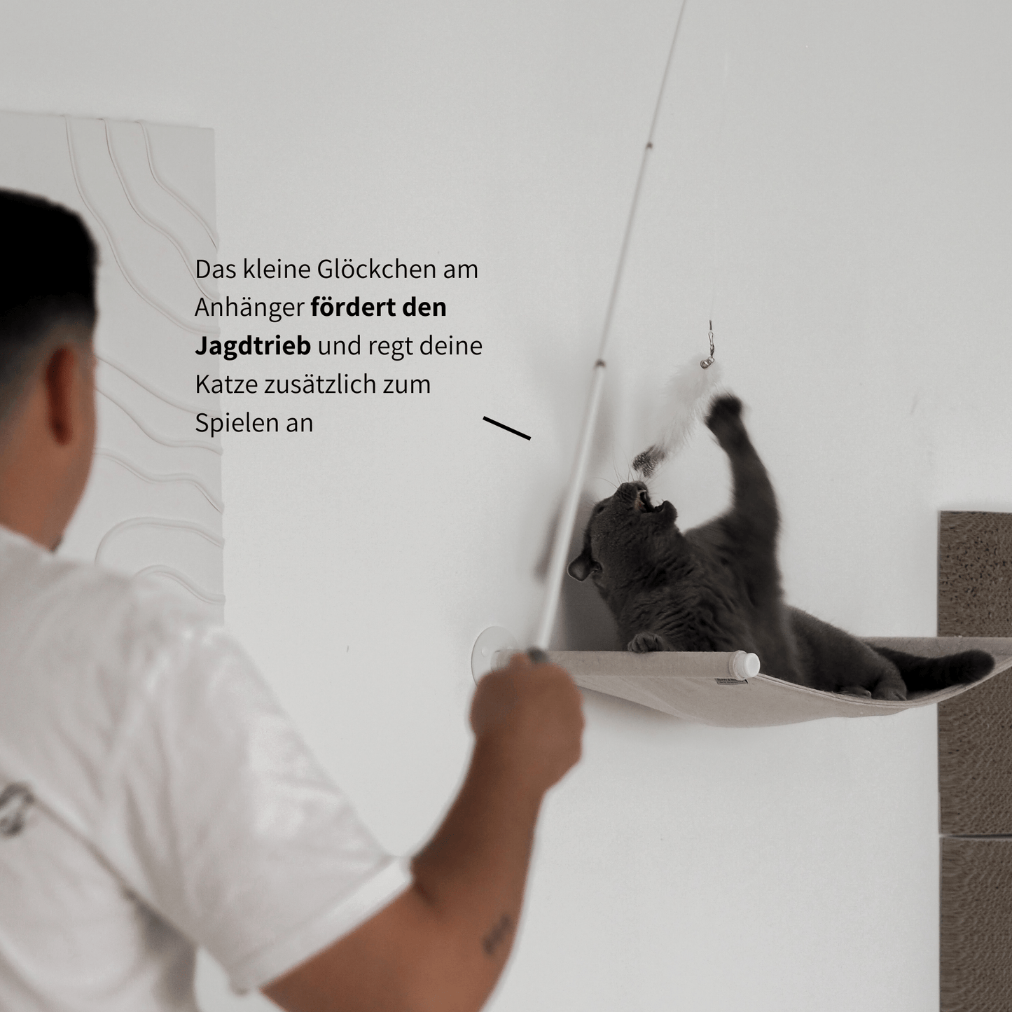 Ein Mann spielt mit der weißen Spielangel mit einer grauen Katze, die auf einer Hängematte liegt und sich räkelt