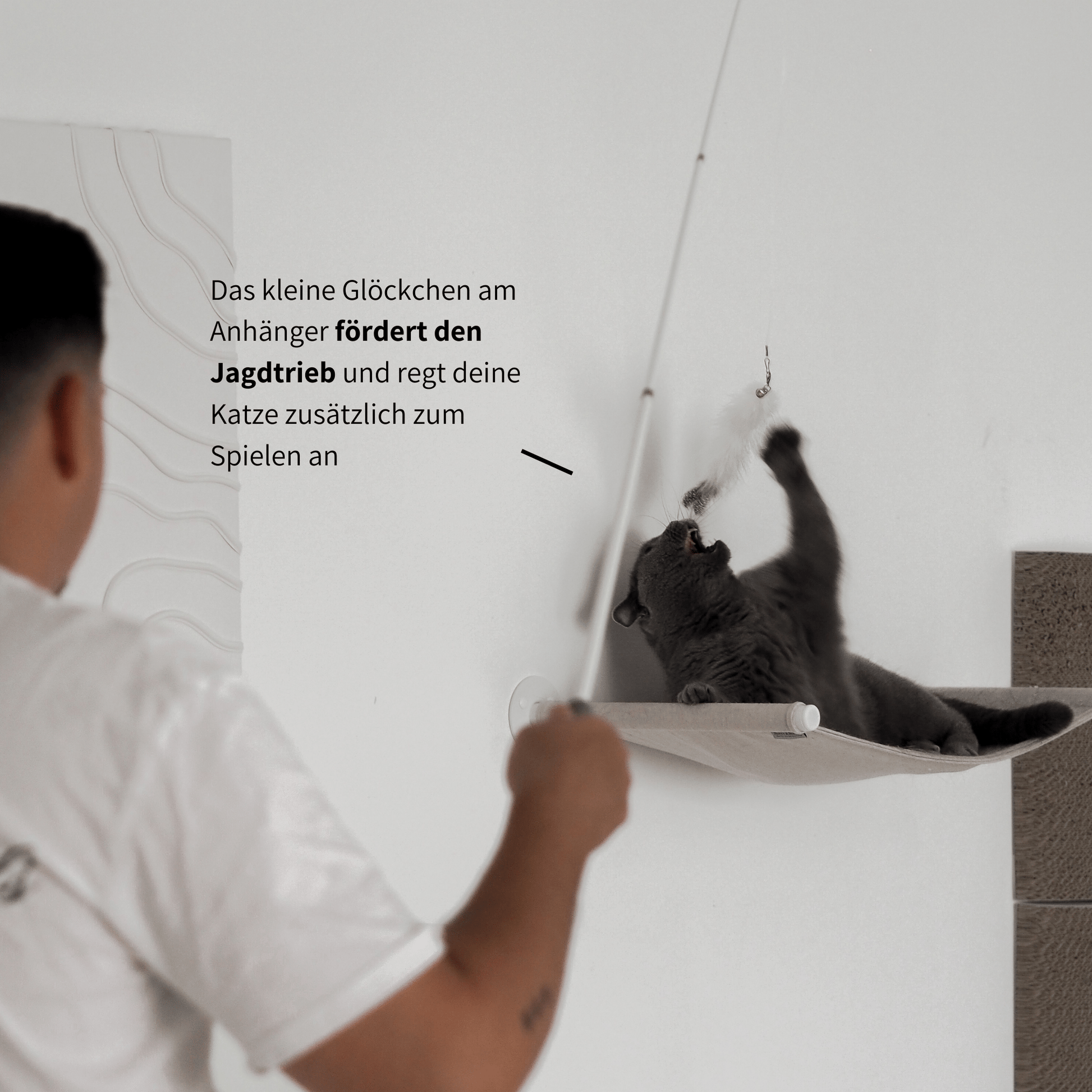 Teleskop Spielangel für Katzen Katzenspielzeug