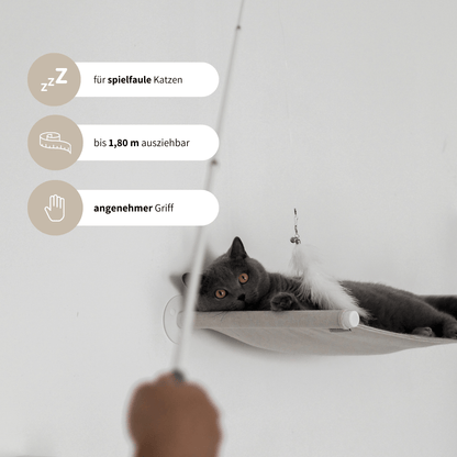 XXL Spielangel für Katzen Katzenspielzeug