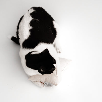 Eine Europäischkutzhaarkatze in schwarz weiß spielt mit einem beigen Baldriankissen.