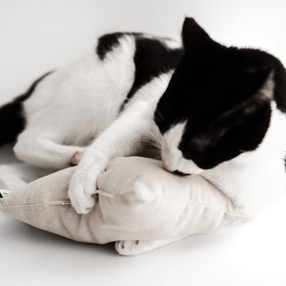 Eine europäisch kurzhaar Katze mit schwarz weißem Muster spielt mit einem Baldriankissen in beige und leckt daran.