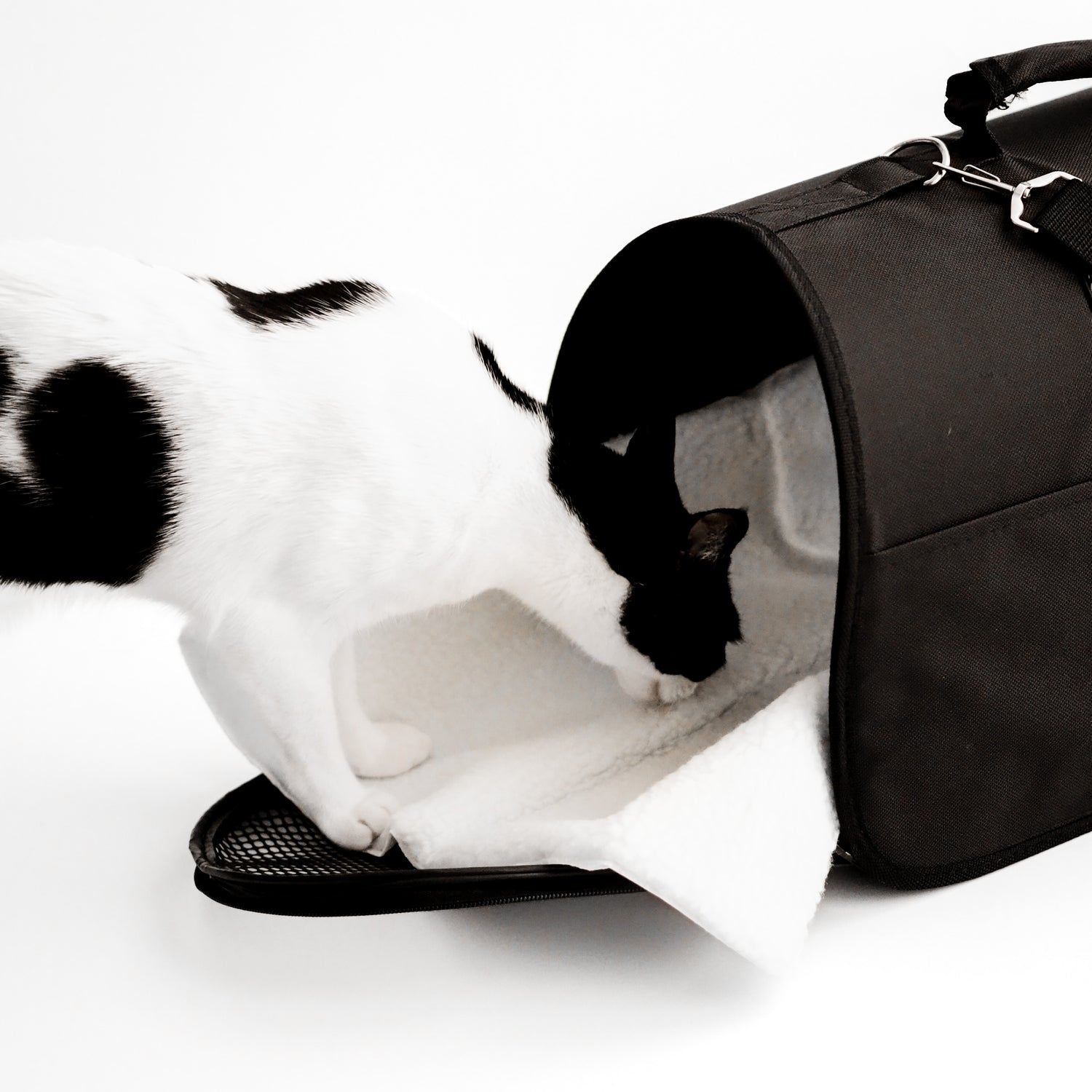 Kleine Katze steht auf der Katzendecke, die in einer Transportbox liegt