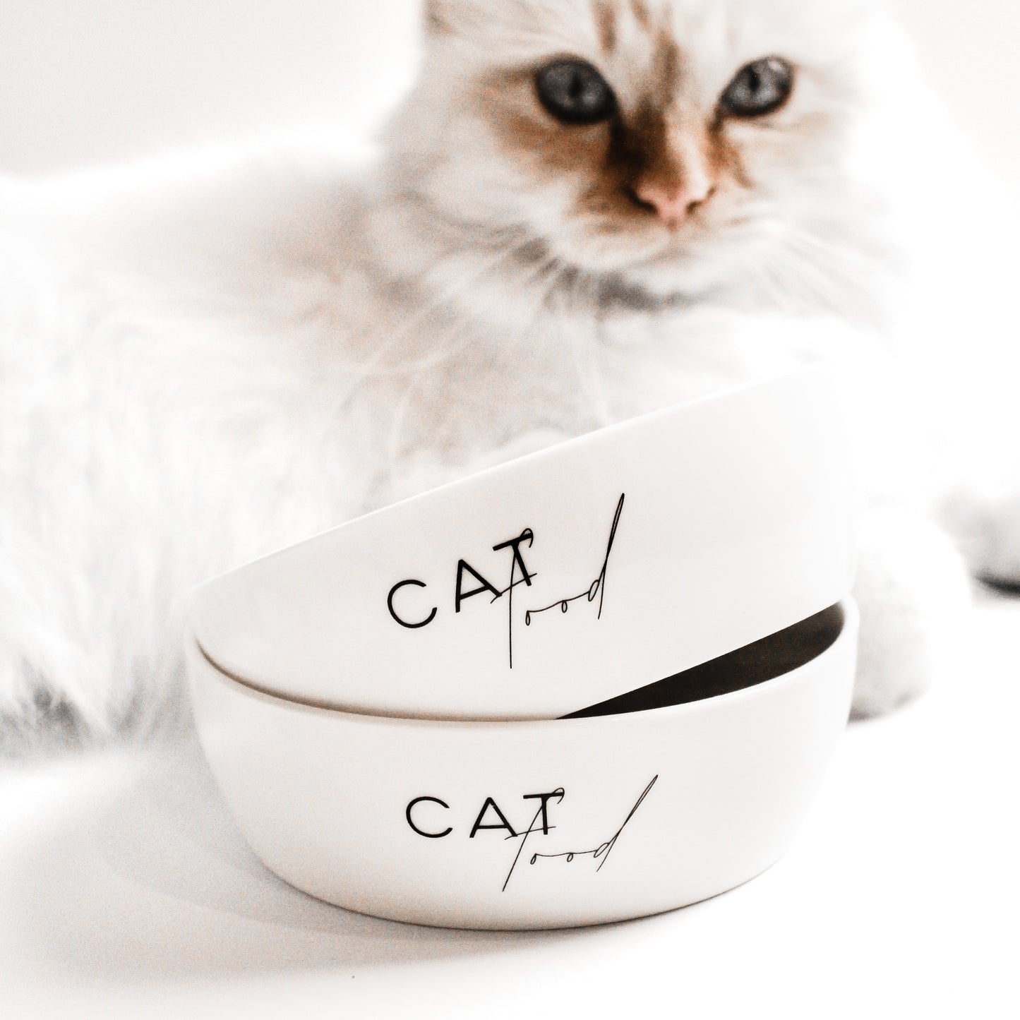 Eine helle Katze liegt hinter zwei ineinander gestapelten weißen Keramiknäpfen für Katzen mit dem Aufdruck "Cat Food".
