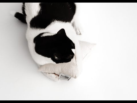 In einem Kurzvideo wird eine spielende katze mit einem beigen Baldriankissen gezeigt.